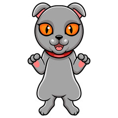 Cute scottish fold cat cartoon