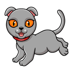Cute scottish fold cat cartoon