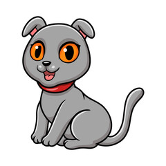 Cute scottish fold cat cartoon