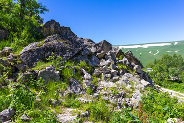 summer, a natural mountain park, walks in the bosom of nature in the early morning.
