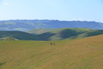 Hikers on the Tassajara Ridge trail in the East Bay Hills of Northern California