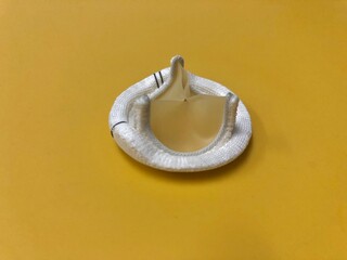 Bioprosthetic or tissue heart valve for valve replacement operation.