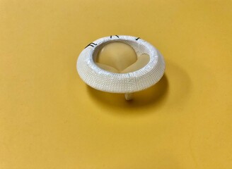Bioprosthetic or tissue heart valve for valve replacement operation.