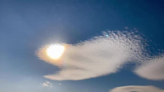 太陽が目の魚の横顔のような雲　タイムラプス