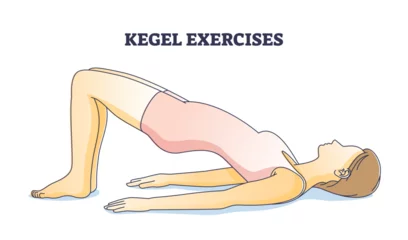 Foto auf Alu-Dibond Kegel exercises for pelvic floor muscle stretch and strength outline concept. Woman yoga and female gymnastic for muscular system wellness and healthy body vector illustration. Contracting activities. © VectorMine