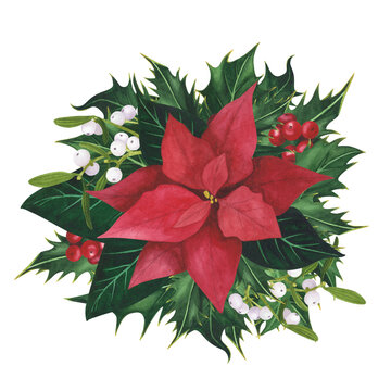 Christmas holly leaves berries, Poinsettia, Mistletoe isolated. Watercolor hand drawn Xmas illustration. Art for design