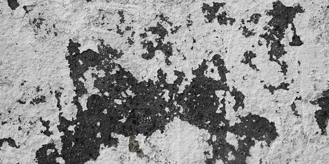 Black and white old wall. Grunge background for website design, web pages, printing. Cracked paint close-up on the wall. Horizontal concrete banner. Monochrome abstract vintage background. Copy space