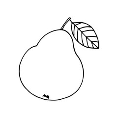 pear with leaf hand drawn in doodle style. fruit, food.