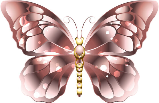 Butterfly In Pink Gold