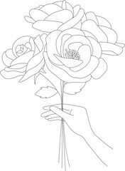 Hand holding peony flowers line art drawing illustration.