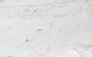 White volcanic limestone rock as background.