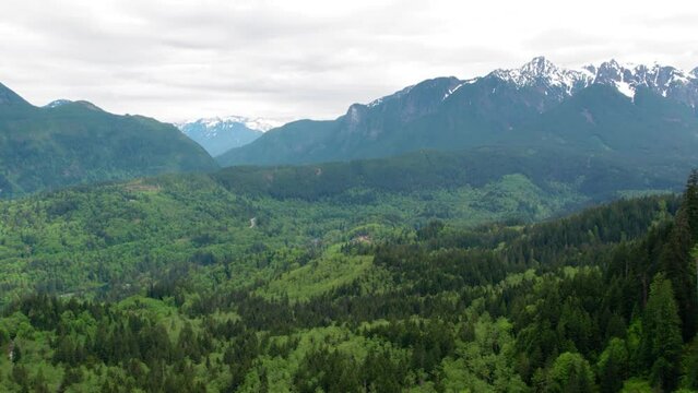 Rural Mountains Aerial Background with Thick Forest of Evergreen Trees