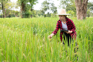 Naklejka na ściany i meble young asian agronomist farmer smiling and holding mobile smart tablet