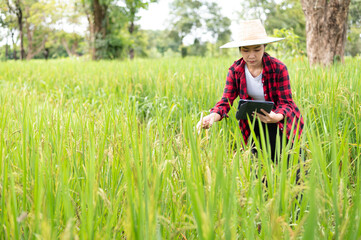 Naklejka na ściany i meble young asian agronomist farmer smiling and holding mobile smart tablet