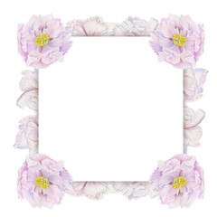 Watercolor square frame arrangement with hand drawn delicate pink peony flowers, buds and leaves. Isolated on white background. For invitations, wedding, love or greeting cards, paper, print, textile