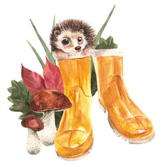 A cute watercolor hedgehog climbed into rubber boots against the background of mushrooms and leaves. Illustration on a white background. Isolate.