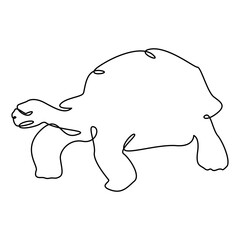 Turtle monoline line art one line animal