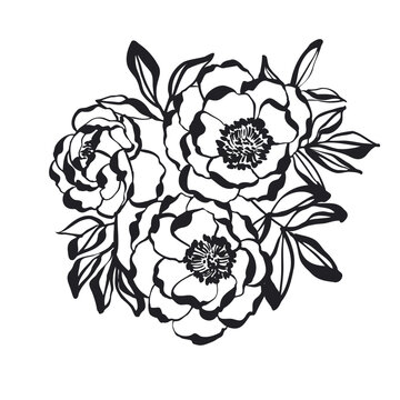 Peony flower silhouette. Vector peony floral element in black and white