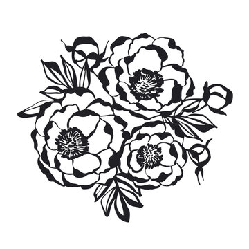recommend clip art: Peony flower silhouette. Peony floral element