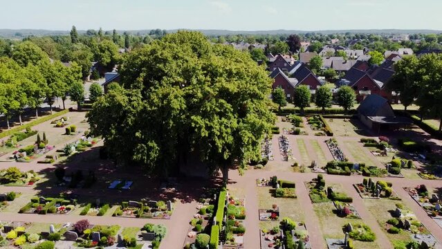 Graveyard Cemetery in Kranenburg, Germany. Aerial drone shot covering Beautiful lush green trees and grass with colorful flowers .