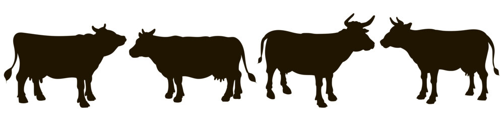 Cow, vector image, black and white drawing.
Flat image, stamp, seal, icon, symbol. 