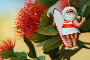 Close-up of flowers of New Zealand's native Pohutukawa tree with Santa Christmas decoration. The tree flowers over the NZ summer and is often referred to as the New Zealand Christmas tree.