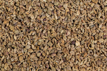 ajwain close up photo texture background