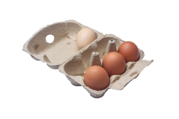 Open egg box with three brown eggs and one white egg isolated. Fresh organic chicken eggs in carton pack. copy space