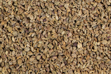 ajwain close up photo texture background