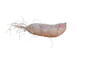 土付きさつまいも