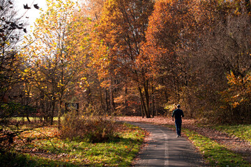 Park Śląski w Katowicach. Mężczyzna biegnący jesienną aleją.