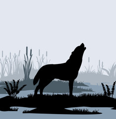 Lone wolf howls in swamp in fog among reeds. Silhouette picture. Wild animal in nature. Predator in natural conditions. Vector.