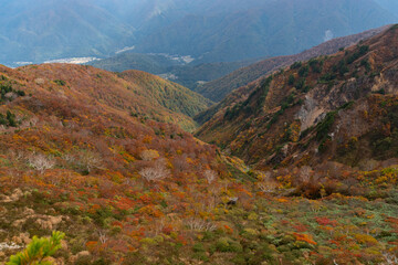 紅葉する山　岐阜県三方岩岳