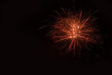 Fototapeta premium Silvester 355