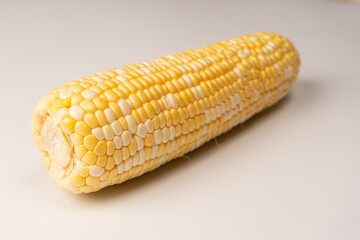 Yellow sweet corn isolated on white background. Copyspace.