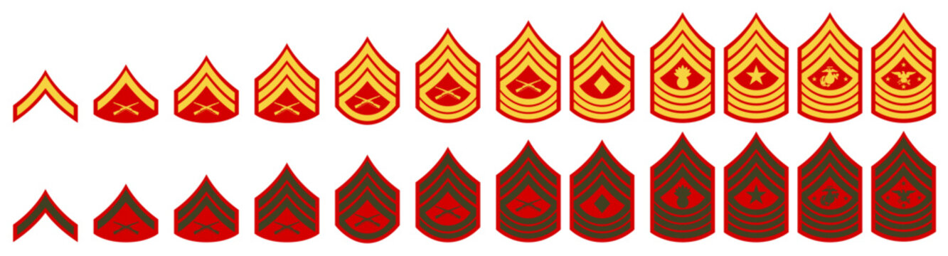 Vector military insignia of the dress and service uniform of the United States Marine Corps