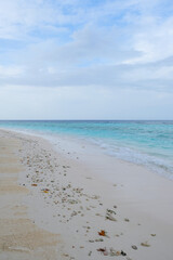 Fototapeta premium Rasdhoo is famous for its habitats of black and white tip reef sharks. It is a small island in Northern Ari Atoll with beautiful beaches.