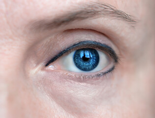 Blue female eye. Close-up.