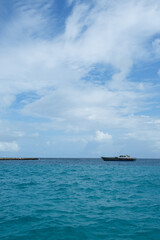 Rasdhoo is famous for its habitats of black and white tip reef sharks. It is a small island in Northern Ari Atoll with beautiful beaches.