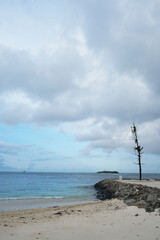 Obraz premium Rasdhoo is famous for its habitats of black and white tip reef sharks. It is a small island in Northern Ari Atoll with beautiful beaches.