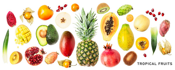 Different tropical fruits set. PNG with transparent background. Flat lay. Without shadow. Design element.