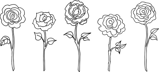 Set of roses. vector black and white