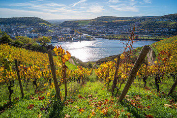 herbst am rhein bei rüdesheim