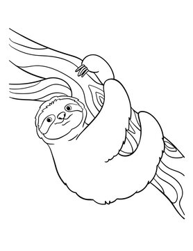 Sloth Isolated Coloring Page for Kids