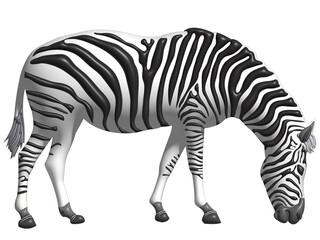 Fototapeta na wymiar Zebra as a transparent background image.