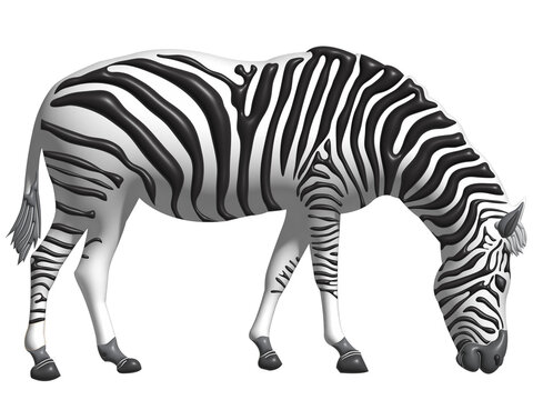 Zebra as a transparent background image.