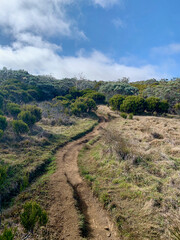 Fototapeta premium Sentier du GRR2 sur l'île de la Réunion