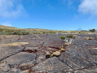 Sol volcanique sur le chemin de la Roche écrite, île de la Réunion