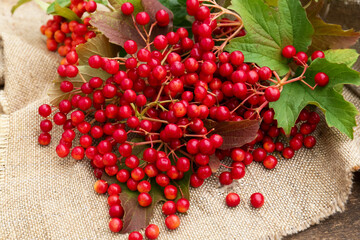 Branch of viburnum with ripe berries on table, flat lay