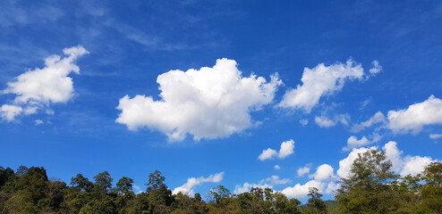 ฺBeautiful blue sky with white cloud and green tree, forest or jungle with cop space on above for add text. Beauty of nature and Natural wallpaper. Freshness air and cloudscape view.